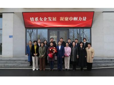 区领导赴区女企协党支部开展走访慰问活动