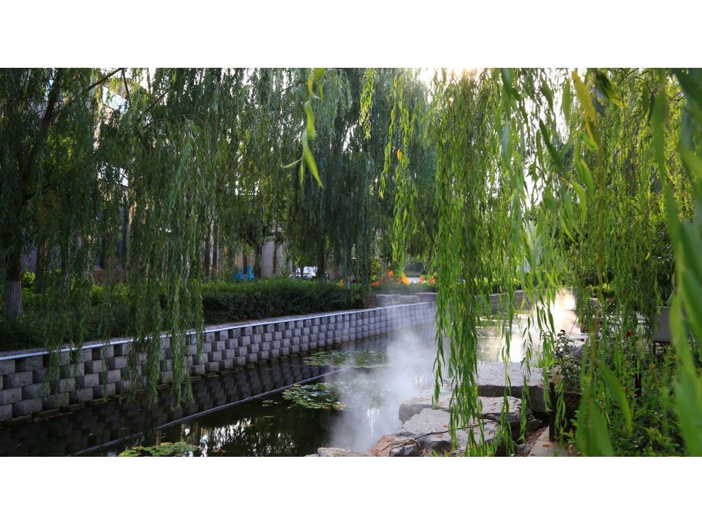 blog thumbnail one
