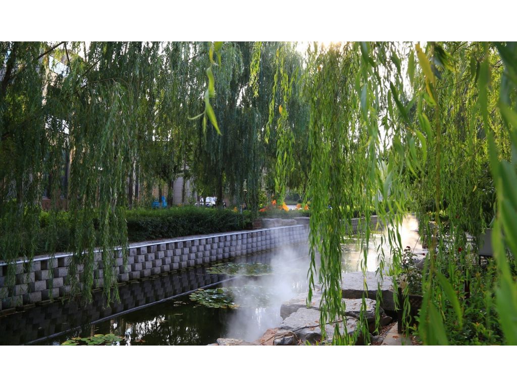 blog thumbnail one