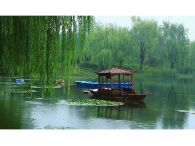 烟雨漫过梦想小镇的秋