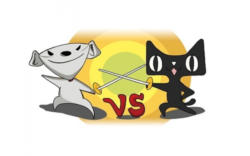 电商争霸2015：“猫狗厮杀”到乡村